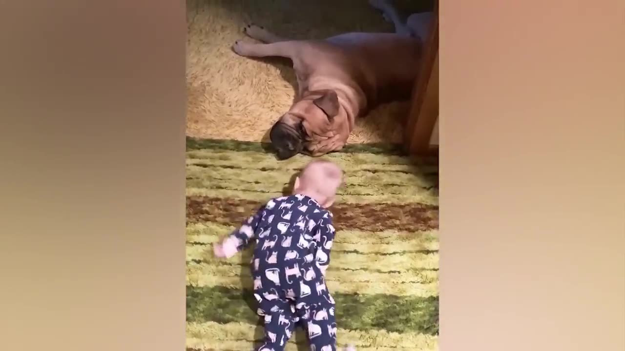 Best video of Cute Babies and Pets - Funny Baby and Pet