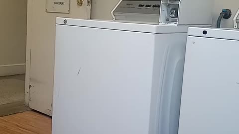 UNEDITED FOOTAGE OF A WASHING MACHINE