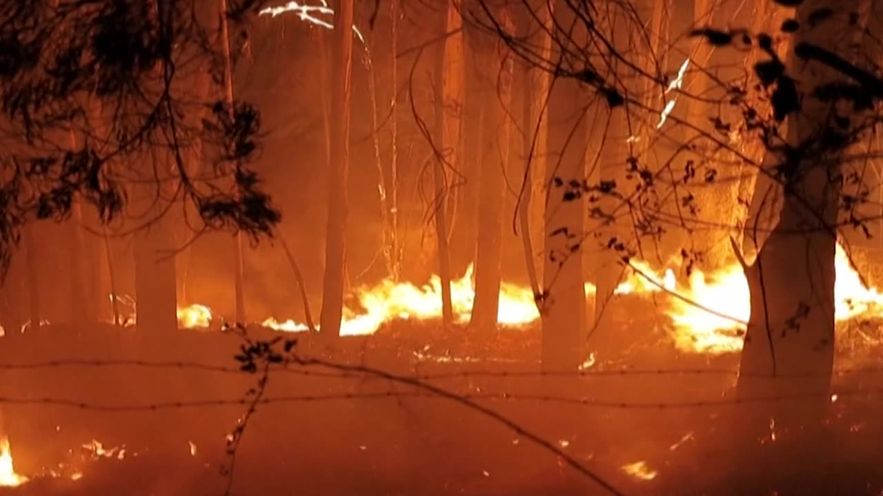 International help arrives in Chile to help fight wildfires