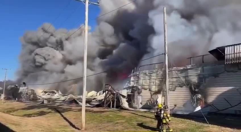 Largest chicken egg suppliers caught fire, leaving an estimated 100,000 hens dead.