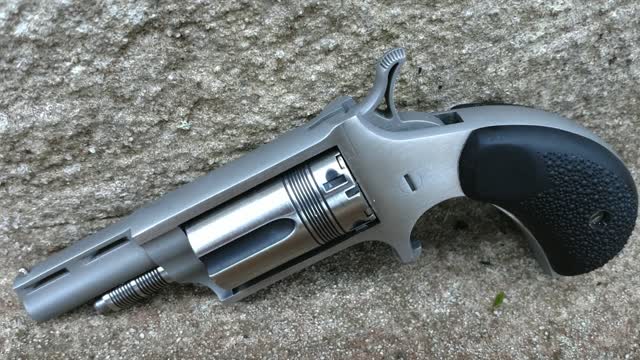North American Arms Mini Revolver "Wasp" 22mag
