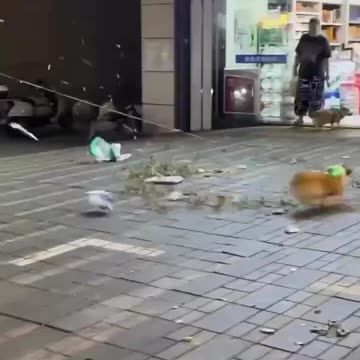 Be young at heart and always have fun 😍