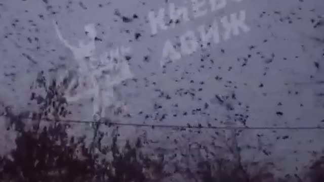 ΚΟΡΑΚΙΑ ΚΙΕΒΟ 2