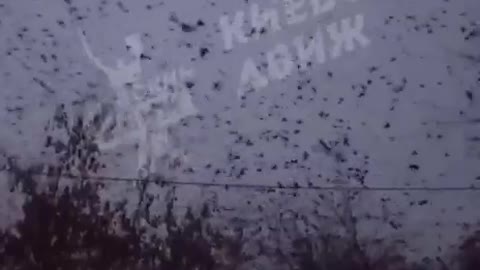 ΚΟΡΑΚΙΑ ΚΙΕΒΟ 2