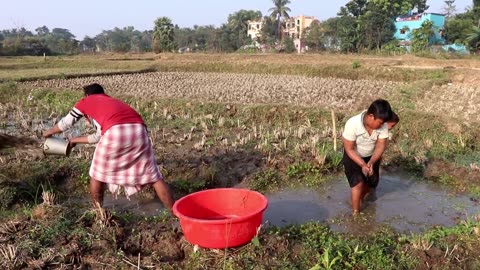 Fishing video || Skilled boys are fishing in the village field || Amazing hand fishing