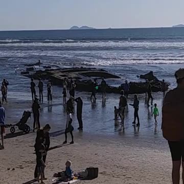 S.S. Monte Carlo Shipwreck at Coronado, California.