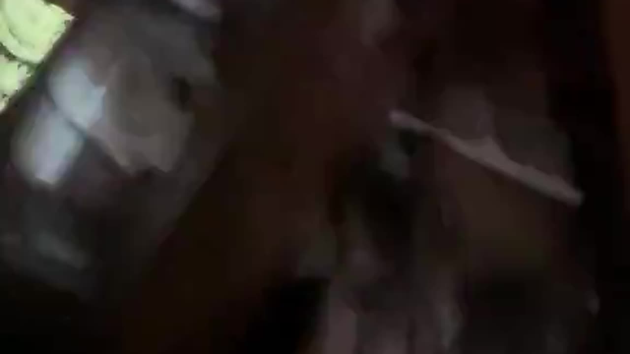 Terrifying MUDSLIDE in Avery County NC with family of 4 inside with 2 young kids.