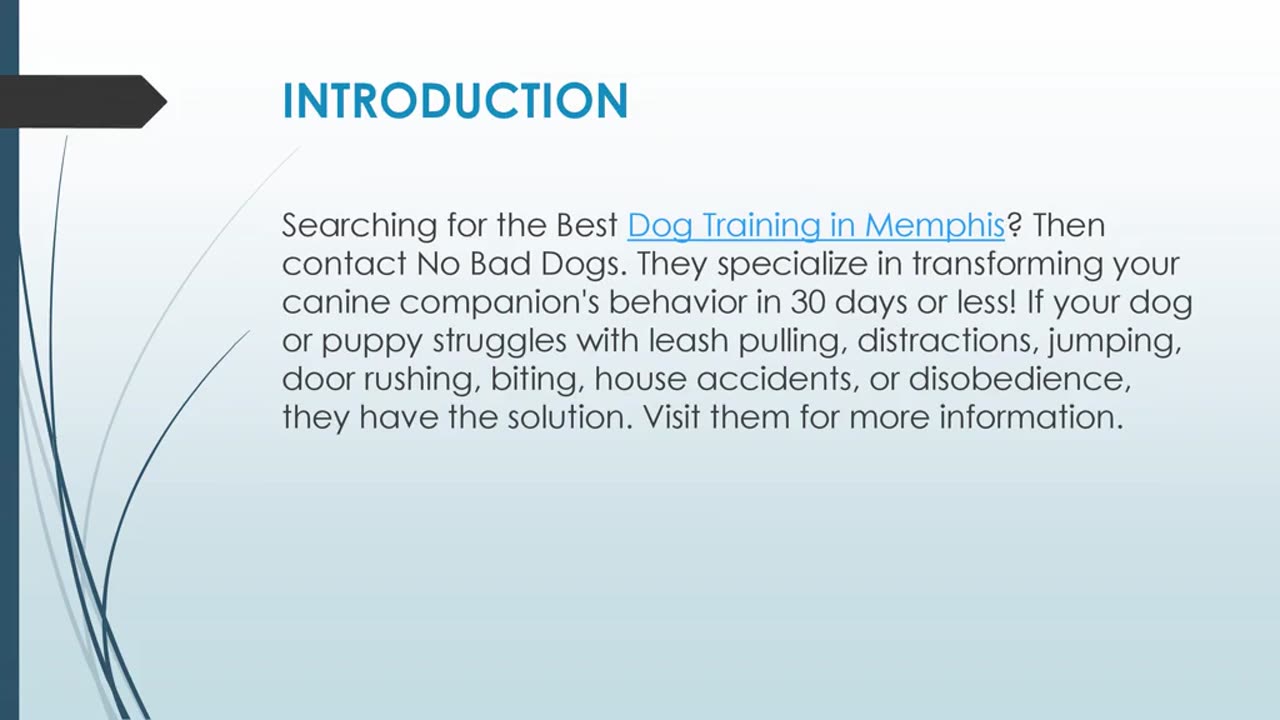 Best Dog Training in Memphis