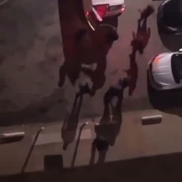 "New normal" scenes in "Modern Paris" last night.