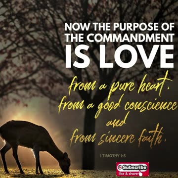 Morning Prayer of a Pure Heart #youtubeshorts #grace #jesus #mercy #faith #fyp #bless #love #trust