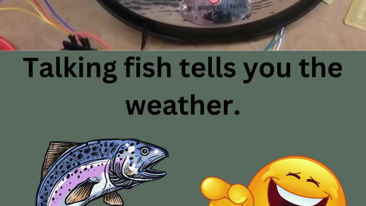 Talking fish tells you the weather!