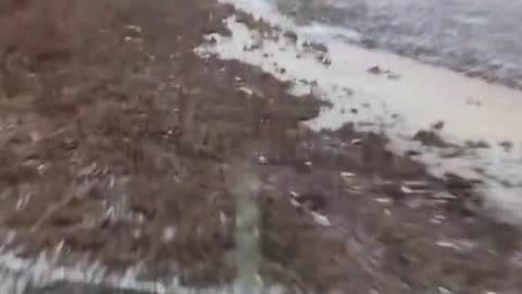Ukrainian Helicopter Cutting the Grass Near Bakhmut
