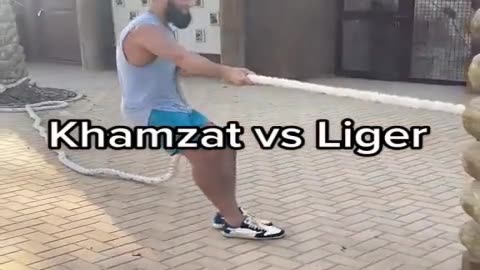 Michael Page and Khamzat Chimaev: Training and Upcoming Fights