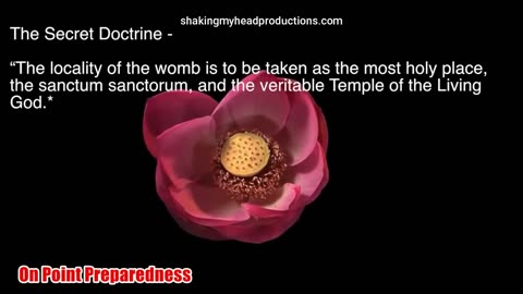 Kamala The Lotus- Lotus For Potus The Big Picture