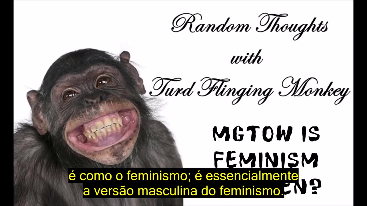 MGTOW é Feminismo para Homens _ - TFM