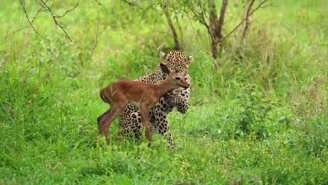 What Is A "Coffee Headache"? | RTC 35