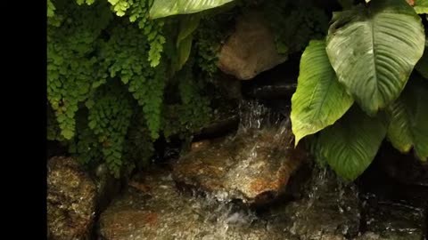 Relaxing Music | Sleeping, Meditation, Stress Relief | [6994] ⭐️