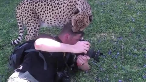 CUTEST MOST AMAZING _WILD-LIFE ENCOUNTERS