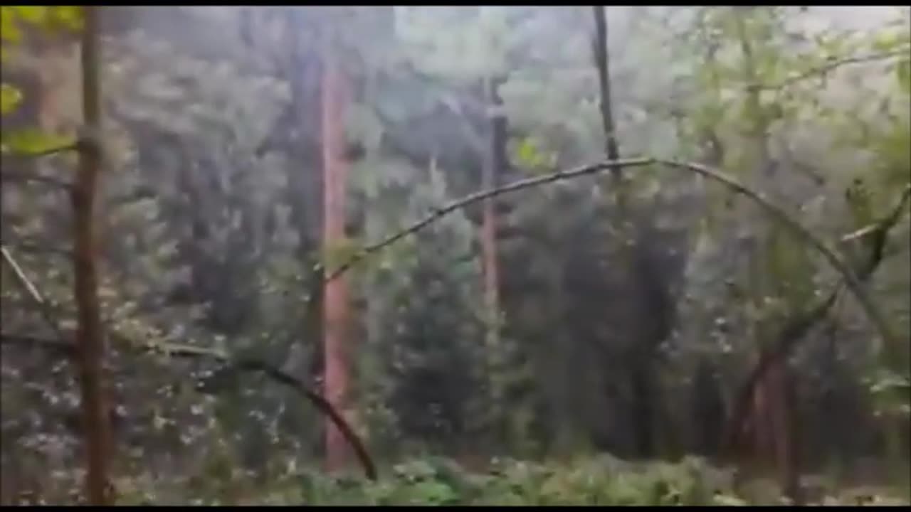 Quelqu'un a trouvé un mur géant au milieu d'une forêt en Sibérie!