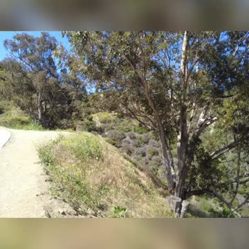 The Rise of Nationalism in Europe: The Impact of World Wars and Experts