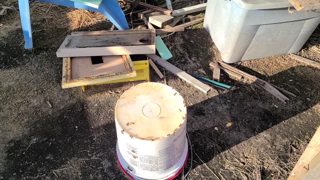 Shallow water source for your bees.