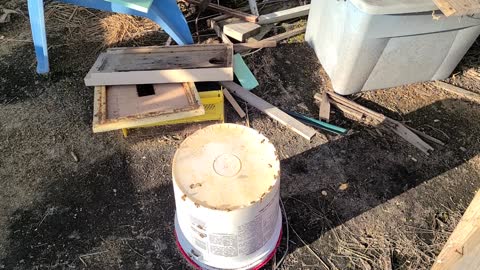 Shallow water source for your bees.