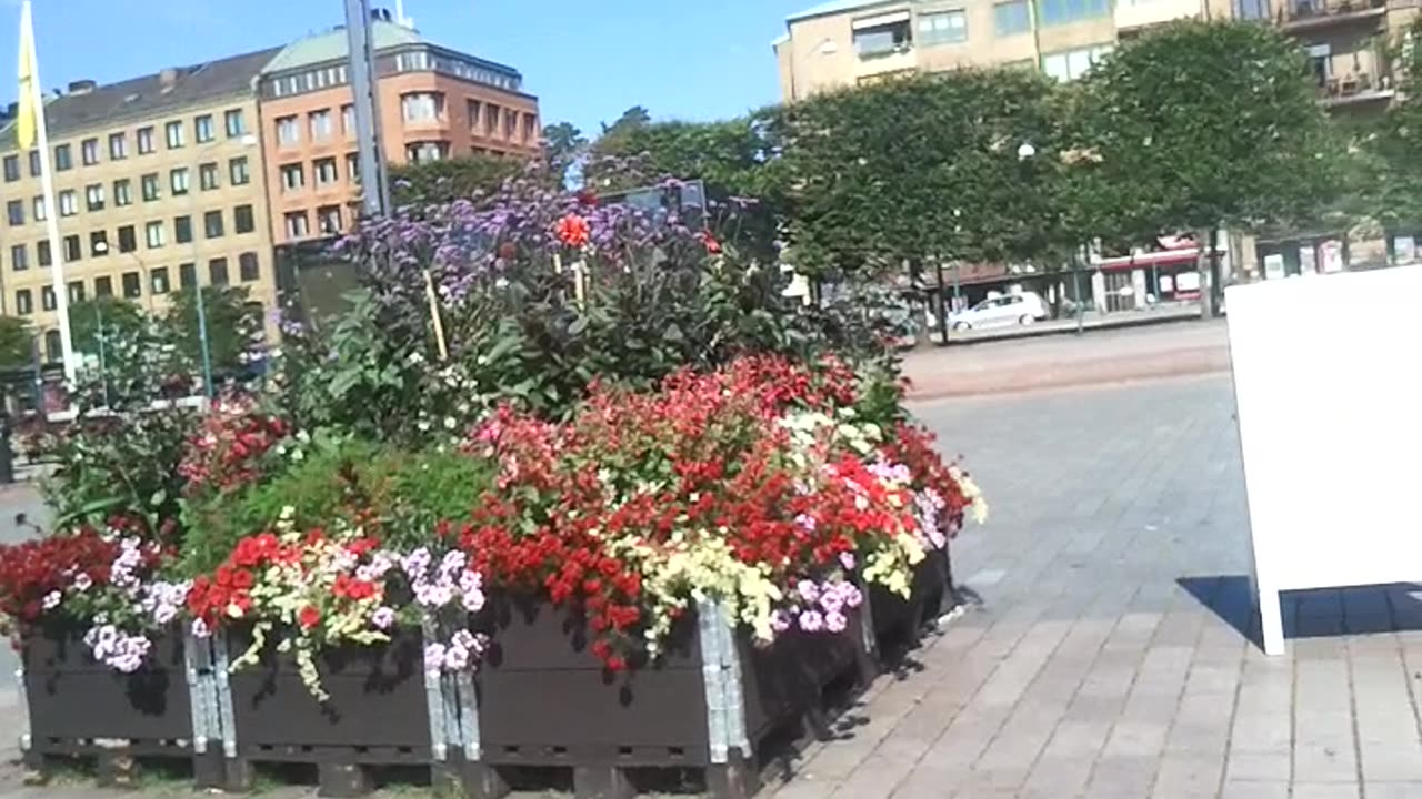 Vid Sundstorget i en grön oas. Helsingborg 20 Juli 2014