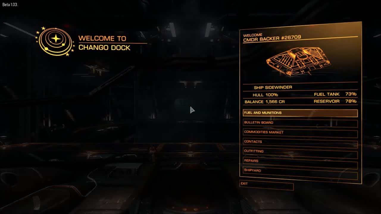 Elite Dangerous Overview