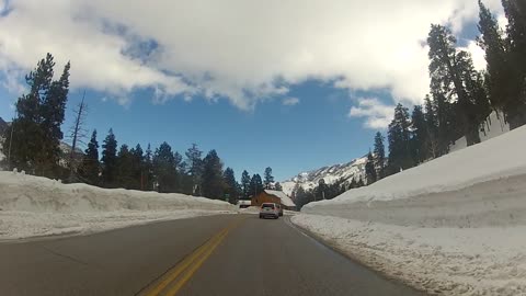 Mount Charleston With Willy & Dave