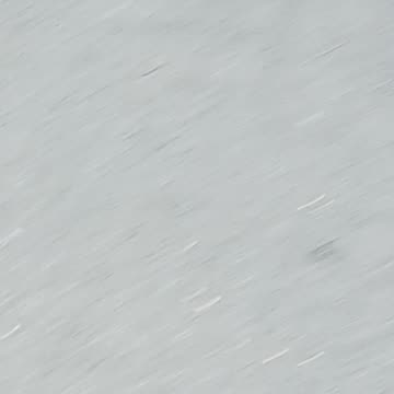 Cardinal kissena park