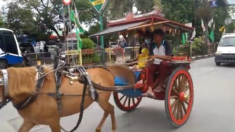 Naik Delman Istimewa (Good Special Delman)