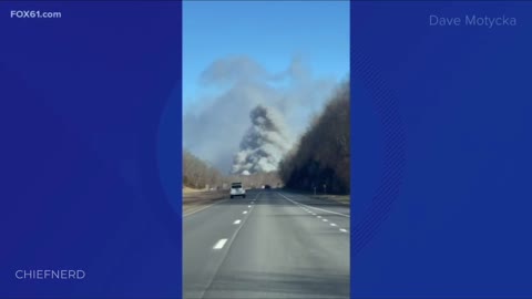 Horrific Egg Farm Fire Kills 100,000 Chickens