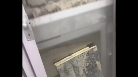 Elevator Of Death