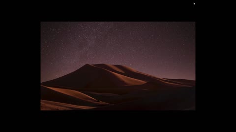 Desert Night