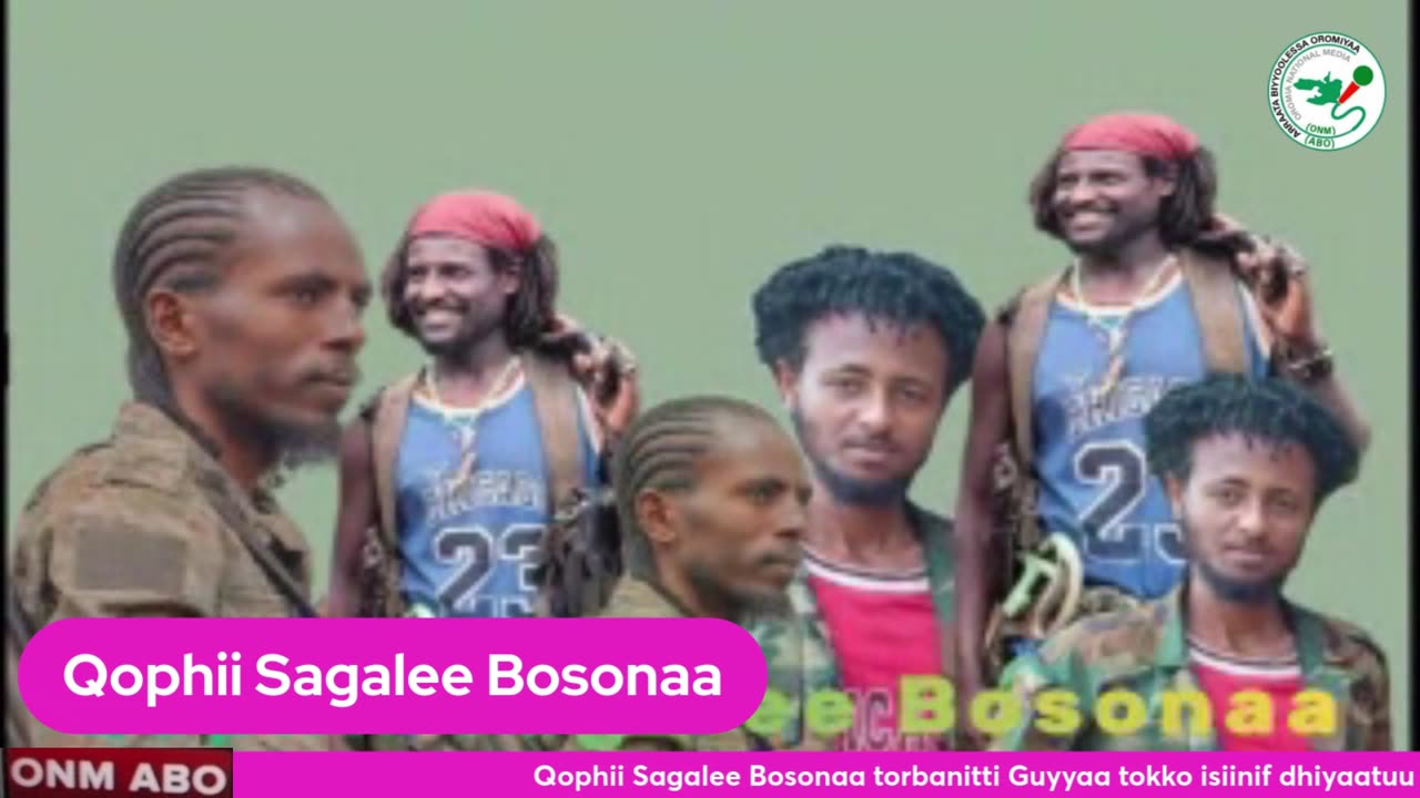 Qophii Sagalee Bosonaa ONM-ABO Onkololessa 5-2024 itti dhiyaadhaa!