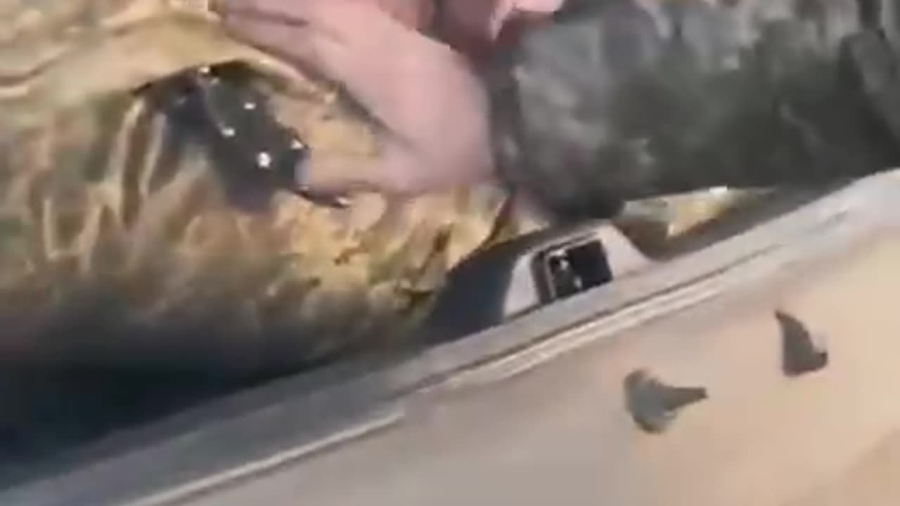 Ukrainians Soldiers Escaping From Bakhmut