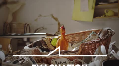 Disaster Tips PSA Find Pet-Friendly Shelters