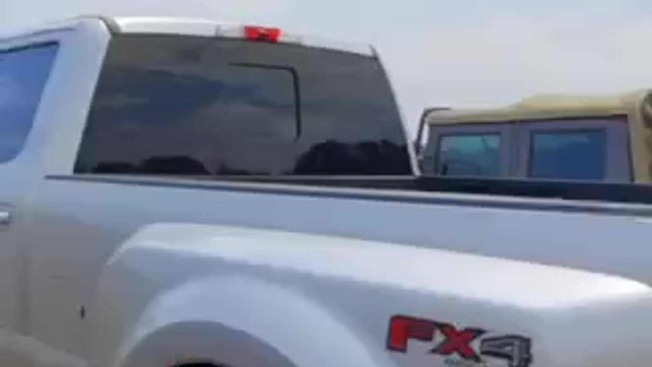 The liver king convoy