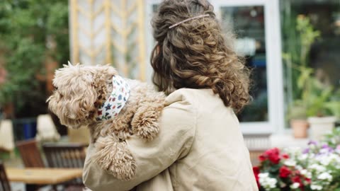 Adorable Dogs