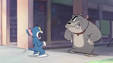 tom and jerry