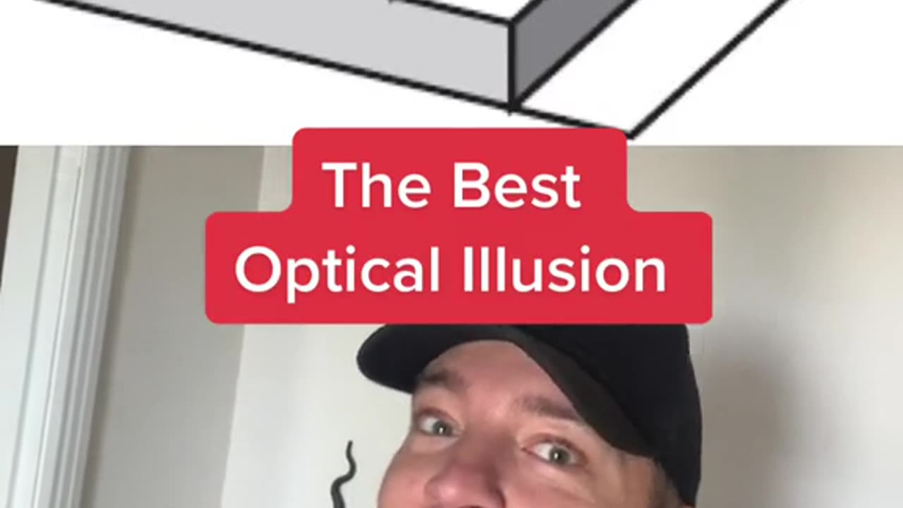 Best Optical Illusion