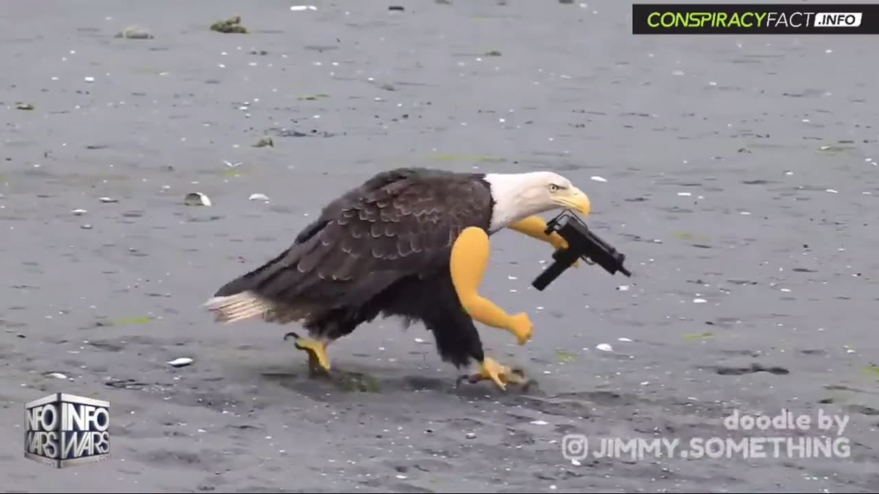 The War Room in Full HD for February 1, 2023.