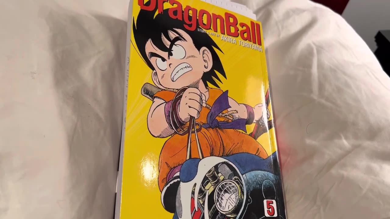 Luna the Cat Interrupts my Dragonball Review
