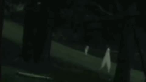 The Fresno Nightcrawlers: Cryptid Caught on Camera in Yosemite!