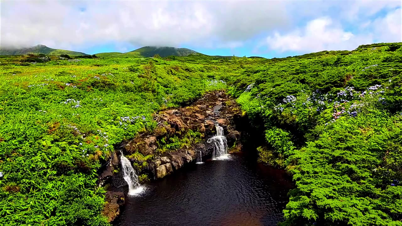 Azores / Travel Guide