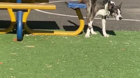 hey bud whatcha doing overohhhh noooo but