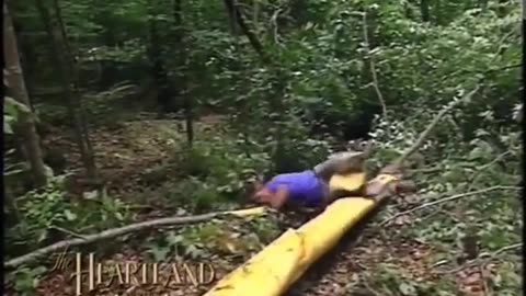 Birch Sapping