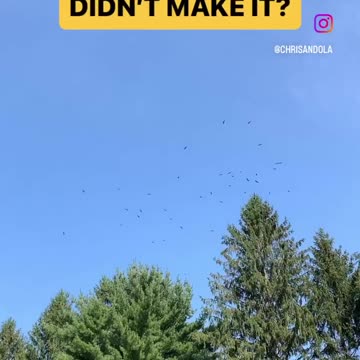 THEY’RE ALWAYS WATCHING