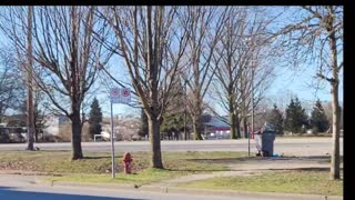 📽 THE HOMELESS CAMP EPIDEMIC & DECAY OF THE DOWNTOWN EAST SIDE OF VANCOUVER, CANADA 🇨🇦