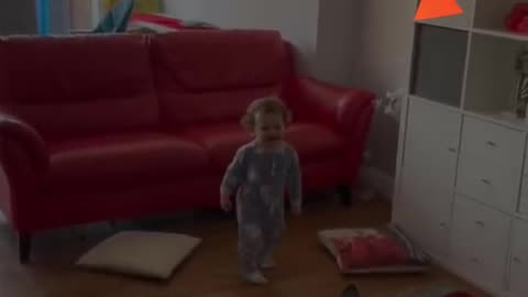 You Will Laugh In 10 Seconds �� - Top Funny Dog Videos of This Week
